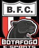 Botafogo eSports